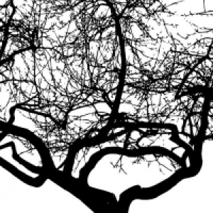 Ohpopsi Silhouette Wall Mural Black & White X-large