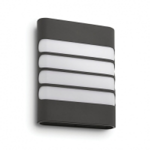 Raccoon LED Wall Lantrn LED ANTRACIT1 x 4W