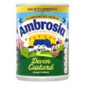 Devon Custard £0.60
