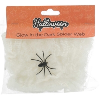 BigW  Halloween Glow in Dark Spider Web