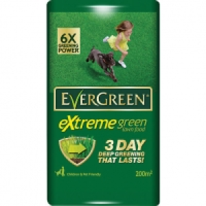 Evergreen Extreme Green Bag £5.99