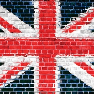 ohpopsi Union Brick Wall Mural Multi - 14.4m (L)