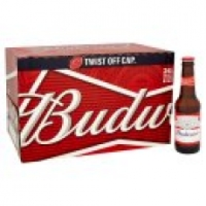 Lager £10.00