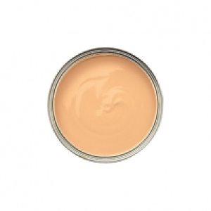 Wickes Colour @ Home Paint Tester Pot - Copper Twist 75ml