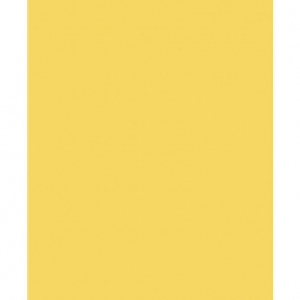 Graham & Brown Superfresco Easy Tany Plain Yellow Decorative
