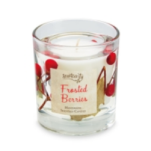 Frosted Berries Gel Inclusion Candle £3.99