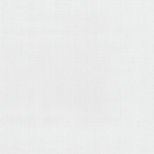 Erfurt Anaglypta Precision Vinyl Wallpaper Vivere White - 10