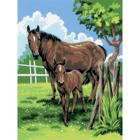 JTF  Small Painting By Numbers Mare & Foal