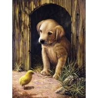 JTF  Small Painting By Numbers Labrador Puppy