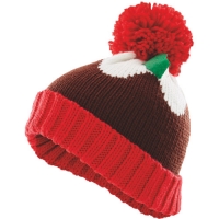 Aldi  Avenue Christmas Pudding Adult Hat