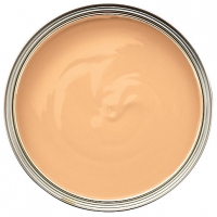 Wickes  Wickes Colour @ Home Vinyl Matt Emulsion Paint - Copper Twis