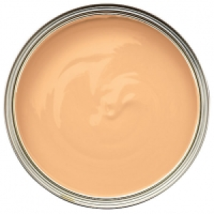 Wickes Colour @ Home Vinyl Matt Emulsion Paint - Copper Twis