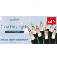 Poundstretcher  100 CLEAR FAIRY LIGHTS