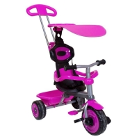 QDStores  Trike 4 In 1 Tricycle 3 Wheel With Canopy & Safety Guard - P