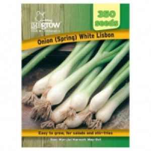 Mr Fothergills Spring Onion White Lisbon £1.00