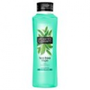 Tea Tree Tingle Shampoo £0.90