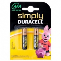 Poundland  Duracell AAA Alkaline Batteries 2 Pack