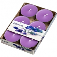 JTF  Bolsius Maxi Lights Lavender 8 Hour Burn 6 Pack