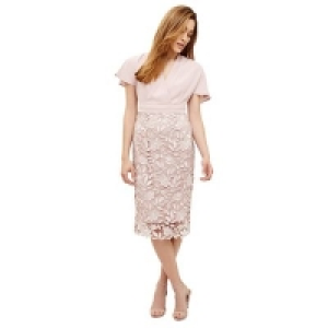 Phase Eight - Pink moriko dress &pound;128.00